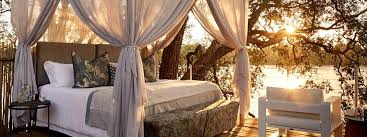 honeymoon1769023779.jpg