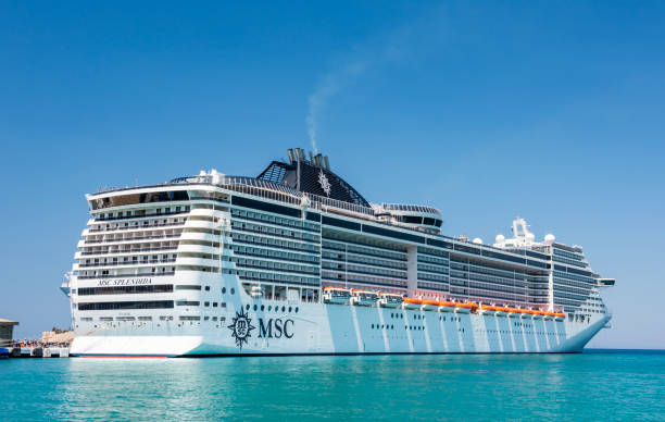 msc_cruise1769023877.jpg